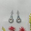 Elegant Crystal Drop Earrings